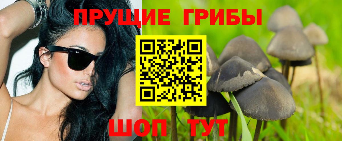 Псилоцибиновые грибы GOLDEN TEACHER Радужный