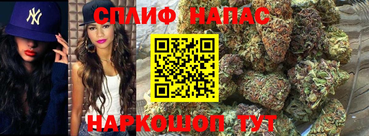 Конопля тримм  Конопля индика  Радужный  Канабис сатива  Вход с VPN 
